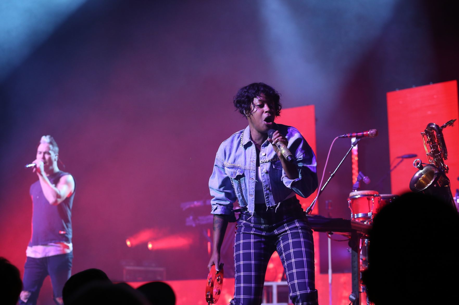 Fitz and the Tantrums